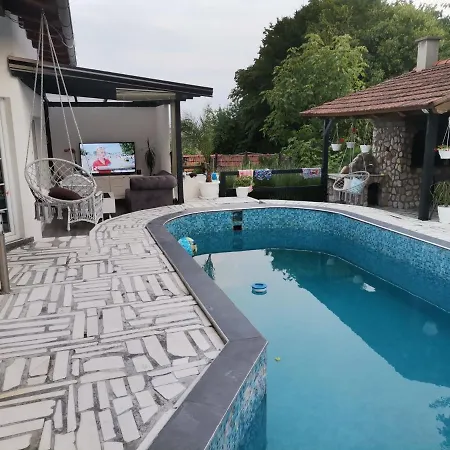 Holidays And Partys With A Pool *