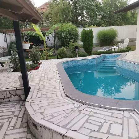 Holidays And Partys With A Pool *